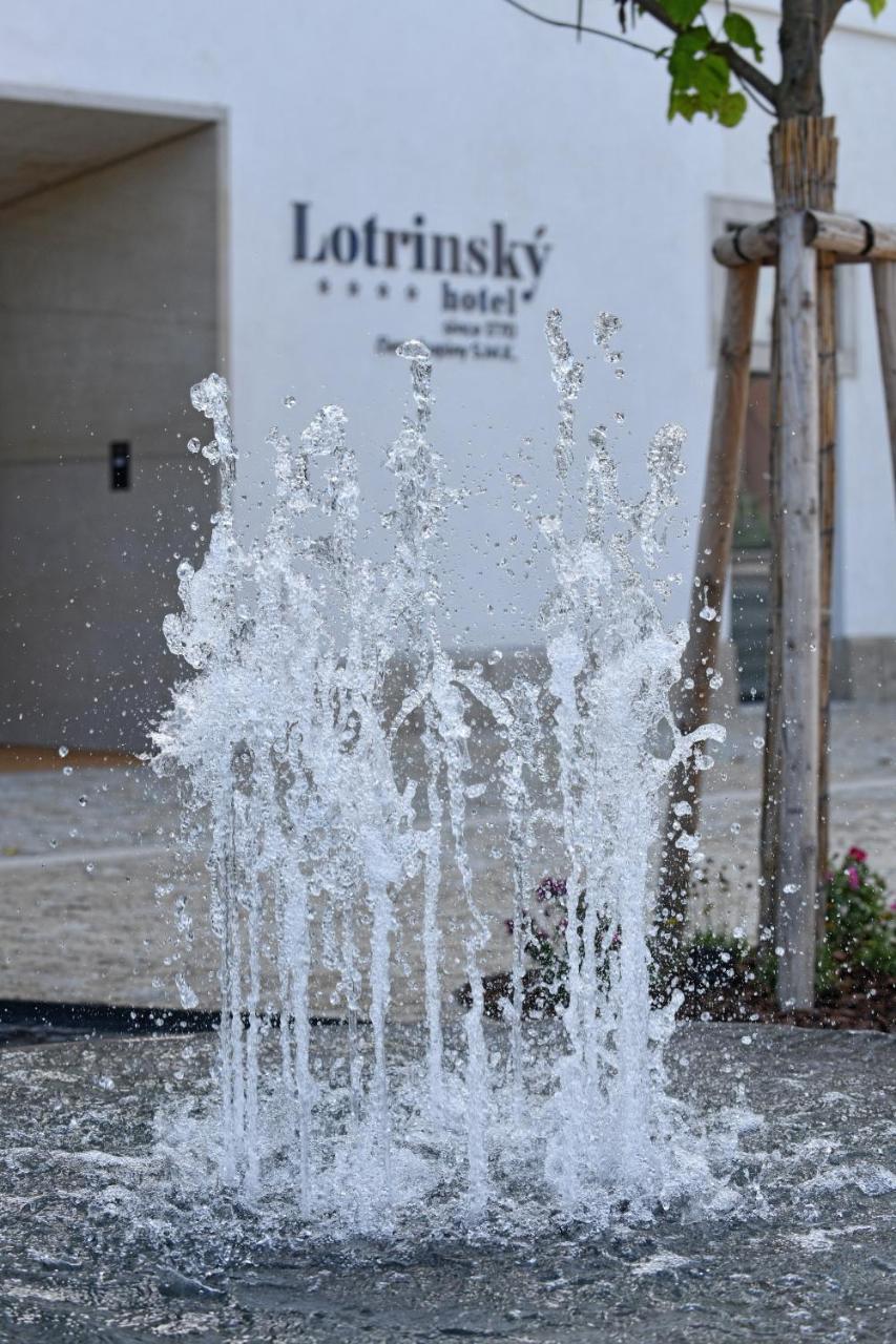 Lotrinsky Hotel Velké Pavlovice المظهر الخارجي الصورة